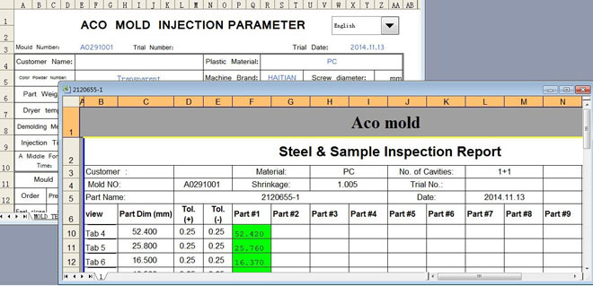 Inspection reports
